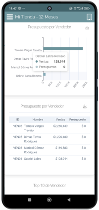 Presupuesto por Vendedor