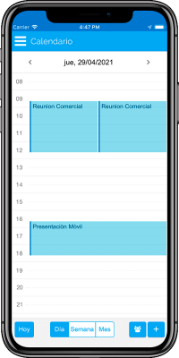 Calendario Día
